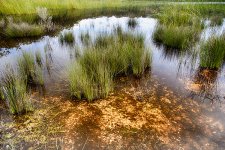 NEW_5502_HDR_webshot.jpg