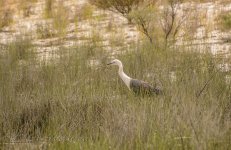 NEW_5493_webshot.jpg