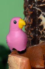 colorful-bird-1.jpg