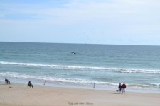 DSC_0572.jpg