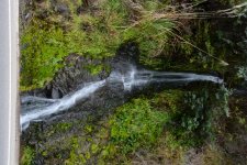 DSC_4191.jpg