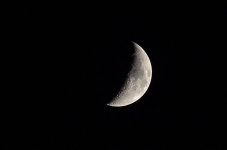 DSC_6405.jpg