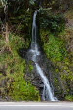 DSC_4191 a.jpg