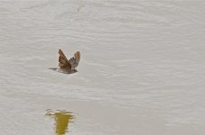 DSC_6167.jpg