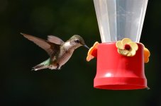 DSC_6257.jpg