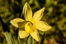 NEW_6740_webshot.jpg