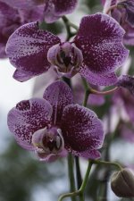 untitled-1205.jpg