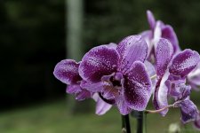 untitled-1207.jpg