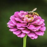 DSC_0192-Edit.jpg