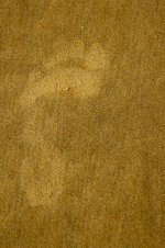 20140831-Sand trail1.jpg