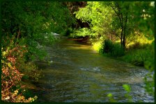 Portneuf River.jpg