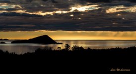 Another Coromandel Classic Sunset LOL.jpg