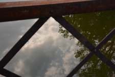 DSC_1315.jpg
