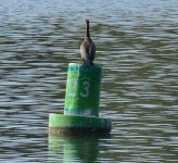 DSC_1320.JPG