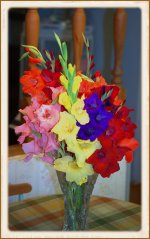 Glads vase_DSC8545 -1.jpg