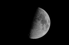DSC_6448.jpg