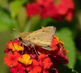 DSC_6329.jpg