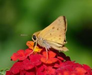 DSC_6332.jpg