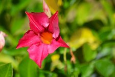 DSC_0277.jpg