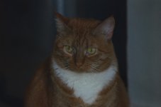 DSC_6576.jpg