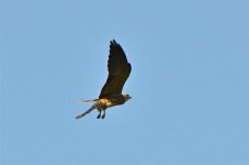 DSC_6516.jpg