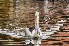 NEW_5769#2_webshot.jpg