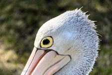 NEW_6424_webshot.jpg