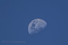 NEW_7085_webshot.jpg