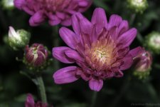 DSC_1408.jpg