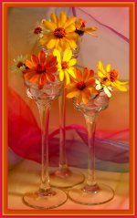 Zinnia Flower Arrangement.jpg
