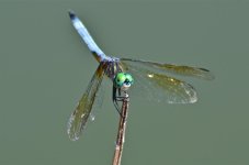 DSC_6608.jpg