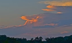 DSC_6669.jpg