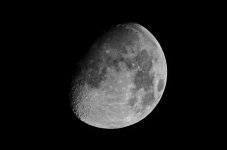 DSC_6709.jpg