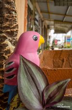 bird=pink.jpg