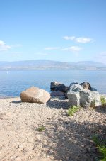 DSC_1238.jpg