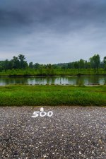 DSC_0080.jpg