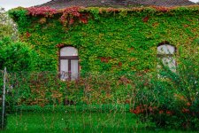 DSC_0083.jpg