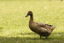 NEW_7107_webshot.jpg