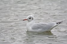 DSC_6903.jpg