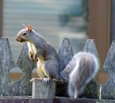 DSC_0006.jpg