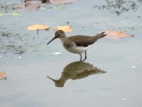 DSCN9058.jpg