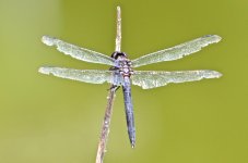 DSC_6734.jpg