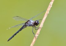 DSC_6739.jpg