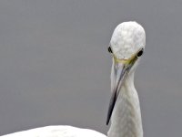 DSCN8935.jpg