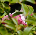DSC_6374.jpg