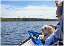 Timmy Boating_DSC7897 -1.jpg