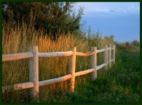 Fence at Sunset.jpg