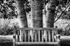 Westmoor_bench_019_020_021_HDR_out2_nik_BW_push.jpg