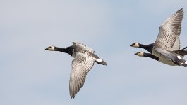 DSC_7122.jpg