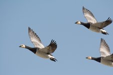 DSC_7124.jpg